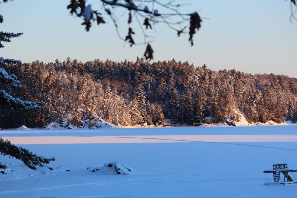 Oakview Lodge & Marina Algonquin Highlands Стая снимка
